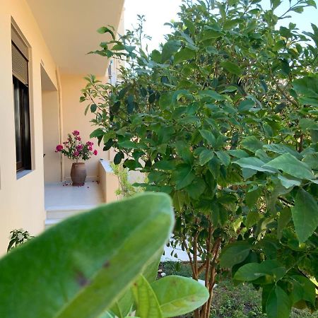 Antonis Chania City Family House Exteriér fotografie